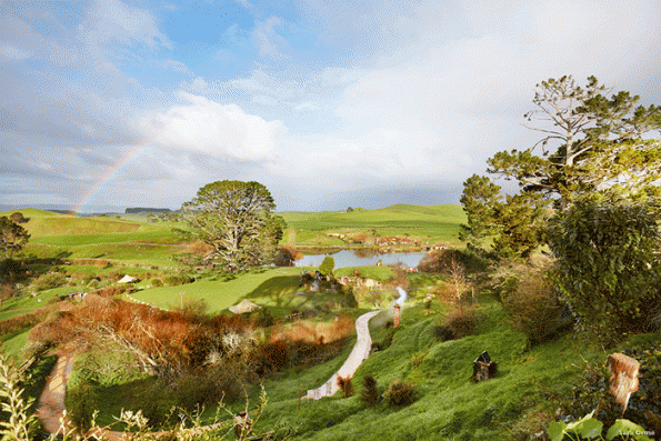 CU58-The-Shire-Matamata-Waikato-Sara-Orme