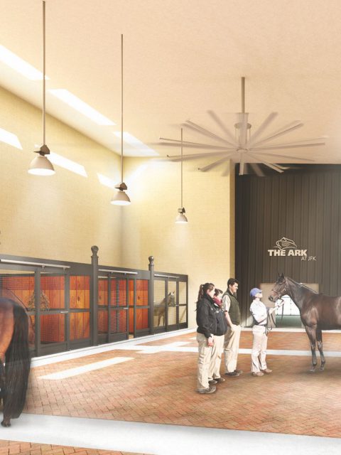 Aeroporto de N.York terá resort para pets