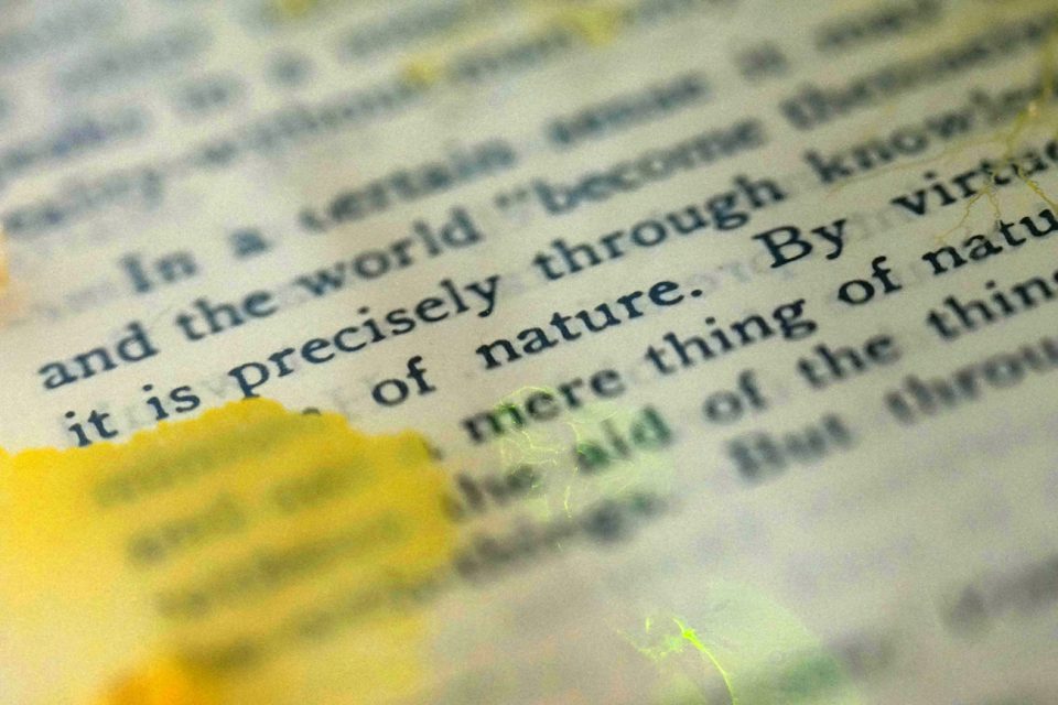 Culturas Degenerativas ganha o Lumen Prize