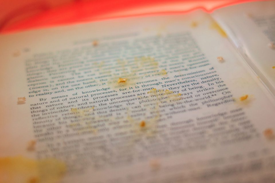 Culturas Degenerativas ganha o Lumen Prize