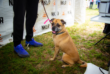 Não perca It's Bruno, novo seriado da Netflix