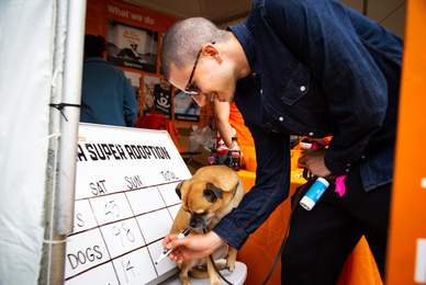Não perca It's Bruno, novo seriado da Netflix