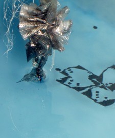 Helen Storey cria vestidos que dissolvem