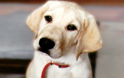 Jennifer Aniston e Owen Wilson