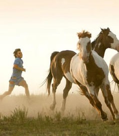 Na Natureza Selvagem de Sean Penn com Emile Hirsch