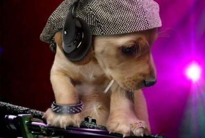 Nova fase do Bits da Madrugada começa em 2009