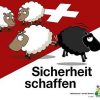 swiss-sheep.jpg