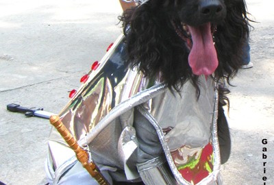 Toquinho como Guerreiro Templário