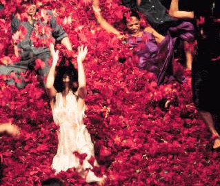 Balé de vanguarda no cinema