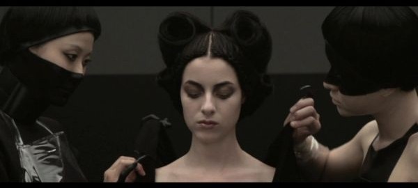 A vida sexual dos besouros