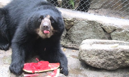Inkaterra Machu Picchu Pueblo
