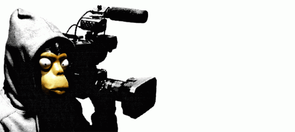 Saída Pela Loja de Presentes