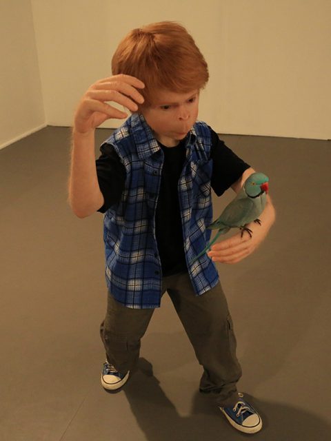 Últimos dias para ver ComCiência de Patrícia Piccinini