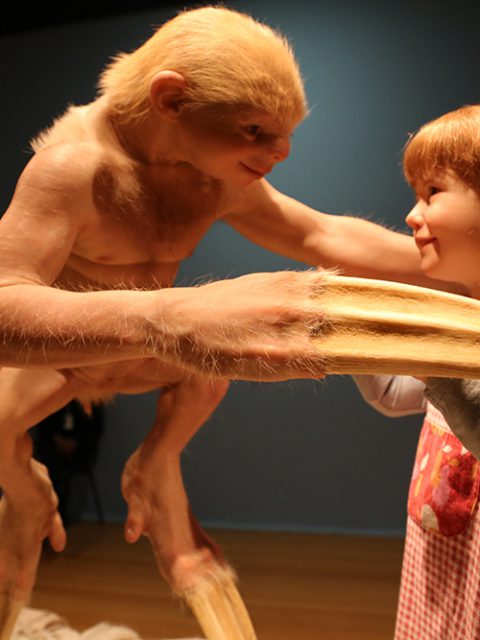 Últimos dias para ver ComCiência de Patrícia Piccinini