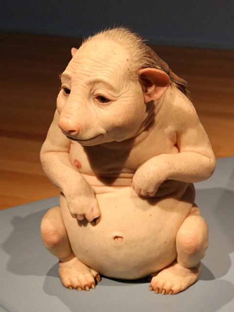 Últimos dias para ver ComCiência de Patrícia Piccinini