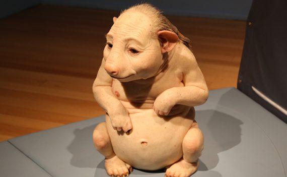 Últimos dias para ver ComCiência de Patrícia Piccinini