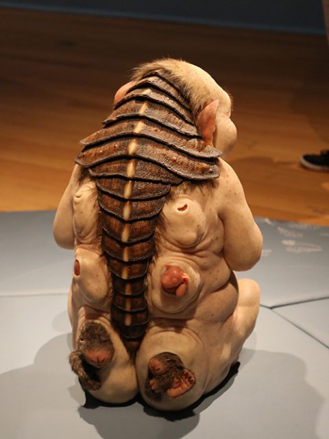 Últimos dias para ver ComCiência de Patrícia Piccinini