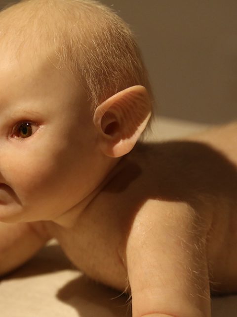 Últimos dias para ver ComCiência de Patrícia Piccinini