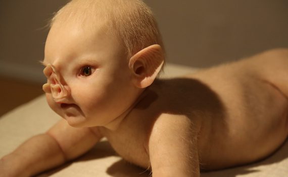 Últimos dias para ver ComCiência de Patrícia Piccinini