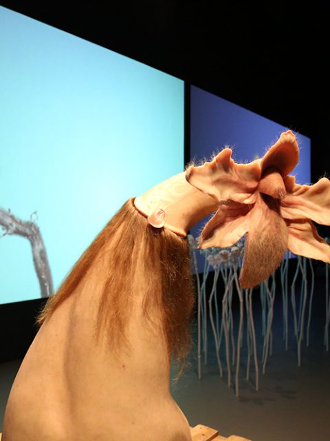 Últimos dias para ver ComCiência de Patrícia Piccinini