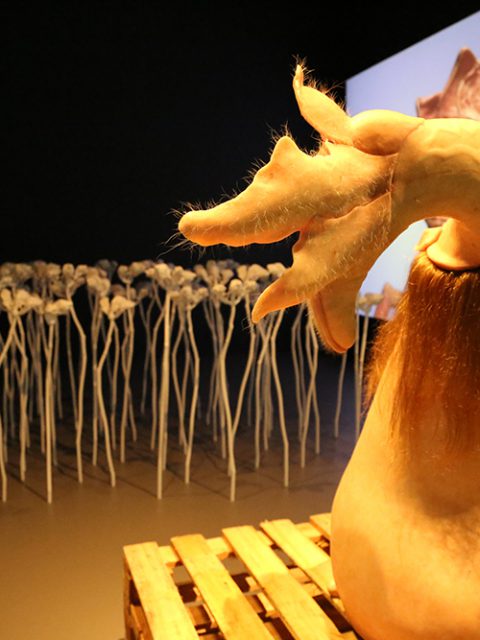 Últimos dias para ver ComCiência de Patrícia Piccinini