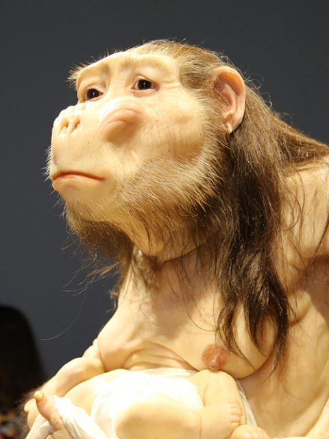 Últimos dias para ver ComCiência de Patrícia Piccinini