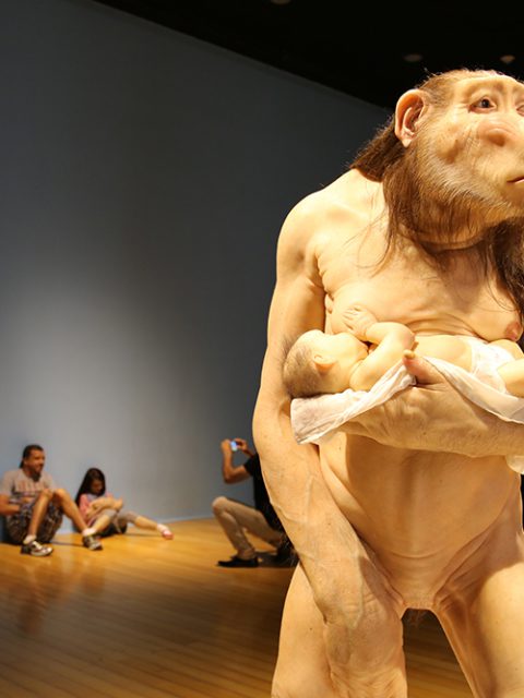 Últimos dias para ver ComCiência de Patrícia Piccinini