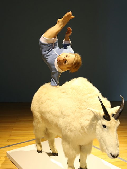 Últimos dias para ver ComCiência de Patrícia Piccinini