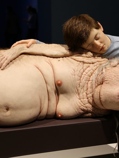 Últimos dias para ver ComCiência de Patrícia Piccinini