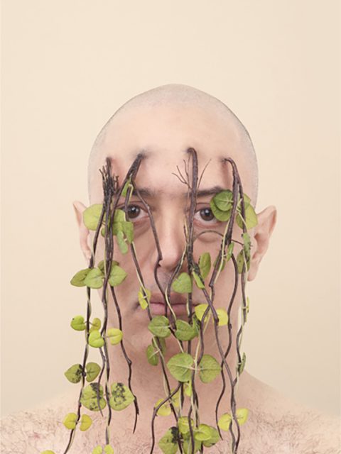 Camille Kachani na Zipper