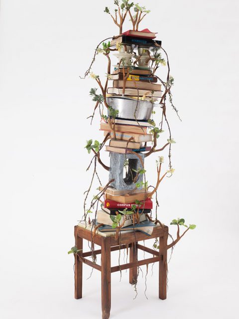 Camille Kachani na Zipper