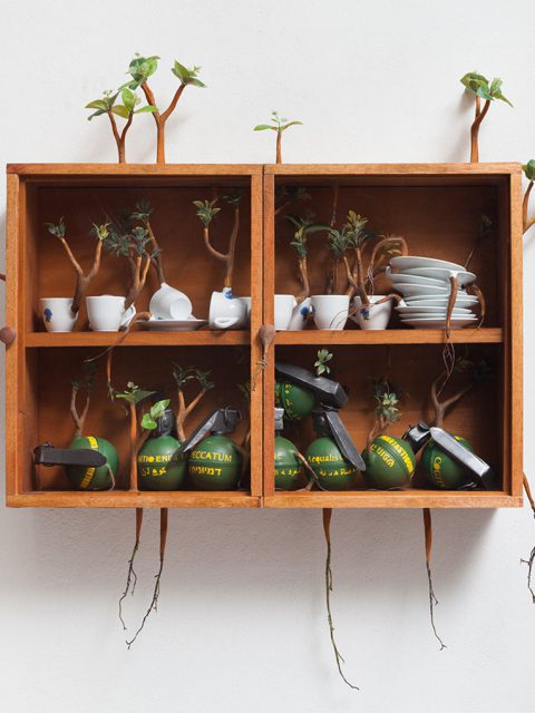 Camille Kachani na Zipper