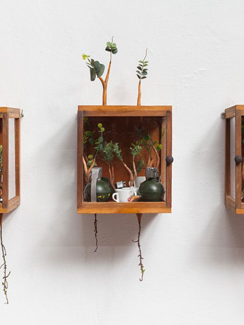 Camille Kachani na Zipper