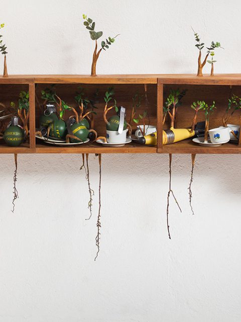 Camille Kachani na Zipper