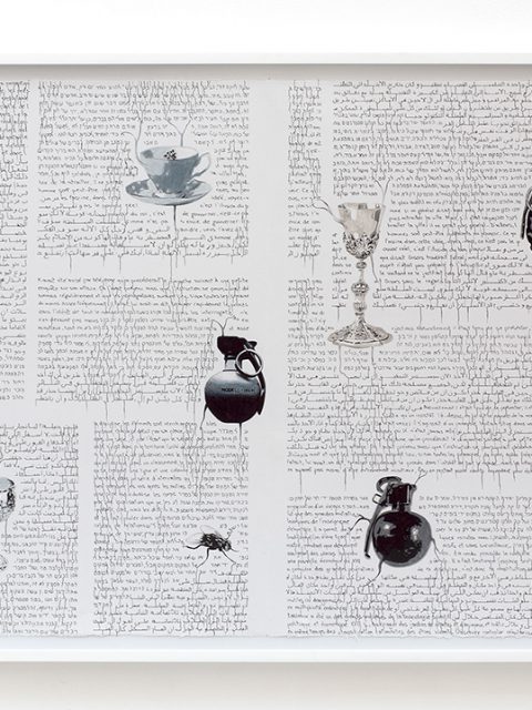 Camille Kachani na Zipper