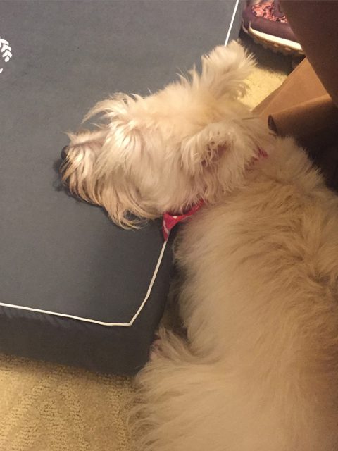 Sheraton Grand Rio Hotel & Resort é a dica do Bits para réveillon