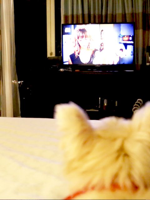 Sheraton Grand Rio Hotel & Resort é a dica do Bits para réveillon