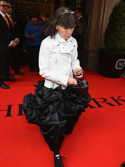 Confira os looks do Met Gala 2017