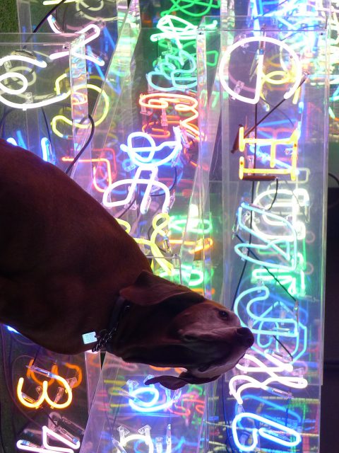 Choque Cultural apresenta Iluminata