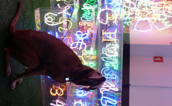 Choque Cultural apresenta Iluminata