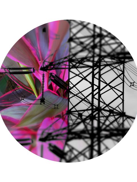 SP-Arte Foto reúne grandes fotógrafos do Brasil e do exterior