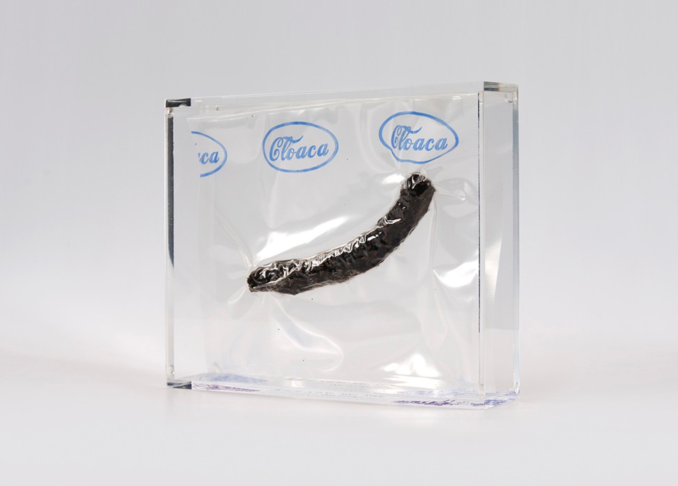 Sothebys leiloou Cloaca