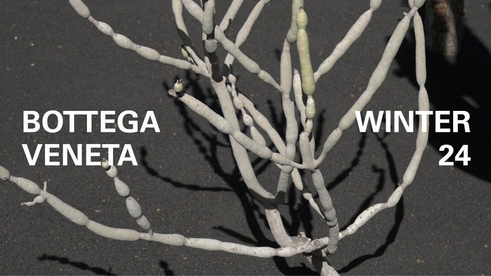 Teaser | Bottega Veneta