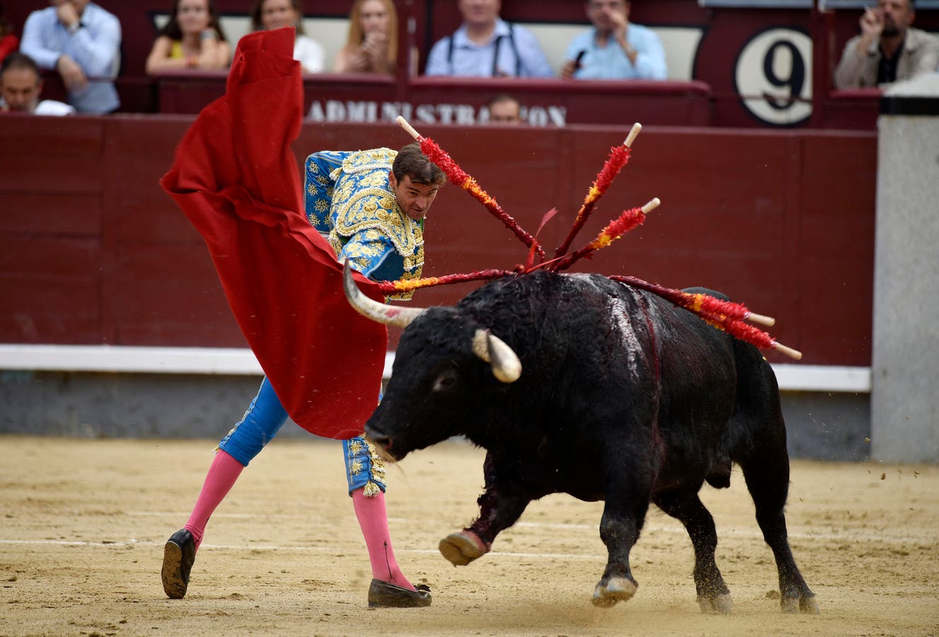 Final da Copa do Mundo 2026 - três motivos para não torcer pela Espanha